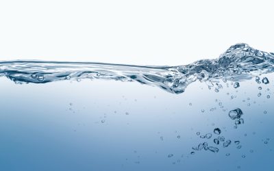 Coinless Bulk Water Fill